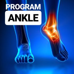 ankle sprain program sprained ankle